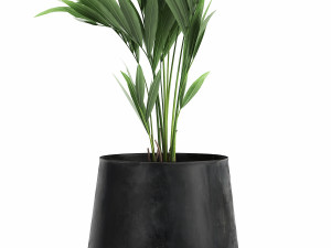 decorative palm in a flowerpot for the interior 910 Modelo 3D