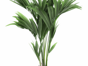 decorative palm in a flowerpot for the interior 910 Modelo 3D