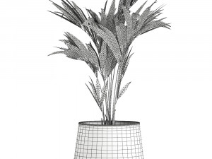 decorative palm in a flowerpot for the interior 910 Modelo 3D