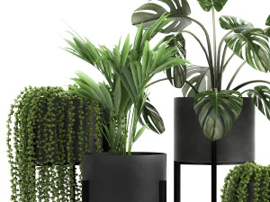 houseplants in a black pot for the interior 911 3D Model