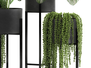 houseplants in a black pot for the interior 911 Model 3D
