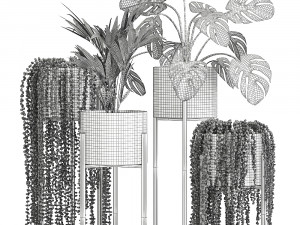 houseplants in a black pot for the interior 911 Model 3D