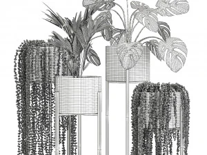 houseplants in a black pot for the interior 911 3D Model