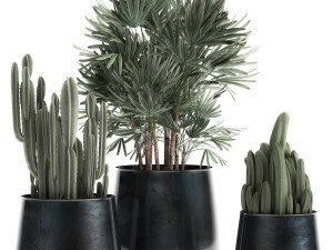houseplants in a black pot for the interior 912 Modelo 3D