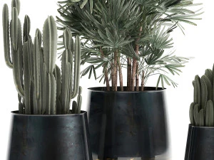 houseplants in a black pot for the interior 912 3D Model