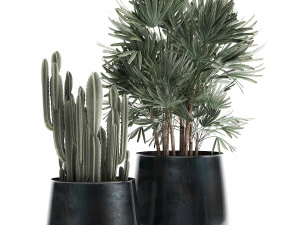 houseplants in a black pot for the interior 912 3D Model