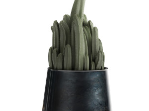 houseplants in a black pot for the interior 912 3D Модель