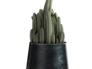 houseplants in a black pot for the interior 912 3D Model