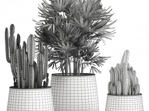 houseplants in a black pot for the interior 912 3D Модель