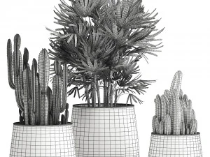 houseplants in a black pot for the interior 912 3D Model