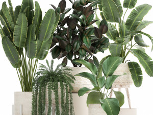 houseplants in a white rattan basket for the interior 913 3D Model