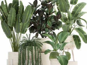 tanaman hias dalam keranjang rotan putih untuk interior 913 Model 3D