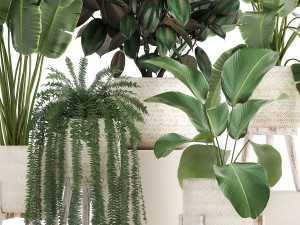 houseplants in a white rattan basket for the interior 913 3D Model