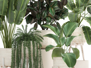houseplants in a white rattan basket for the interior 913 3D Model