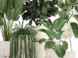 houseplants in a white rattan basket for the interior 913 3D Model