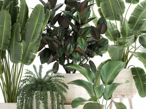 houseplants in a white rattan basket for the interior 913 3D Model