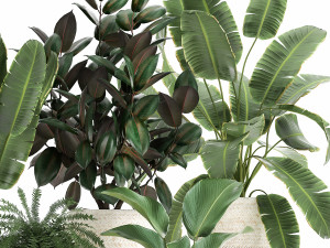 houseplants in a white rattan basket for the interior 913 3D Model
