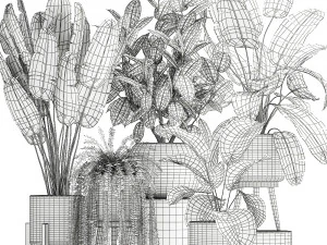houseplants in a white rattan basket for the interior 913 3D Model