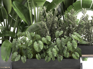 houseplants in a black pot for the interior 914 3Dモデル