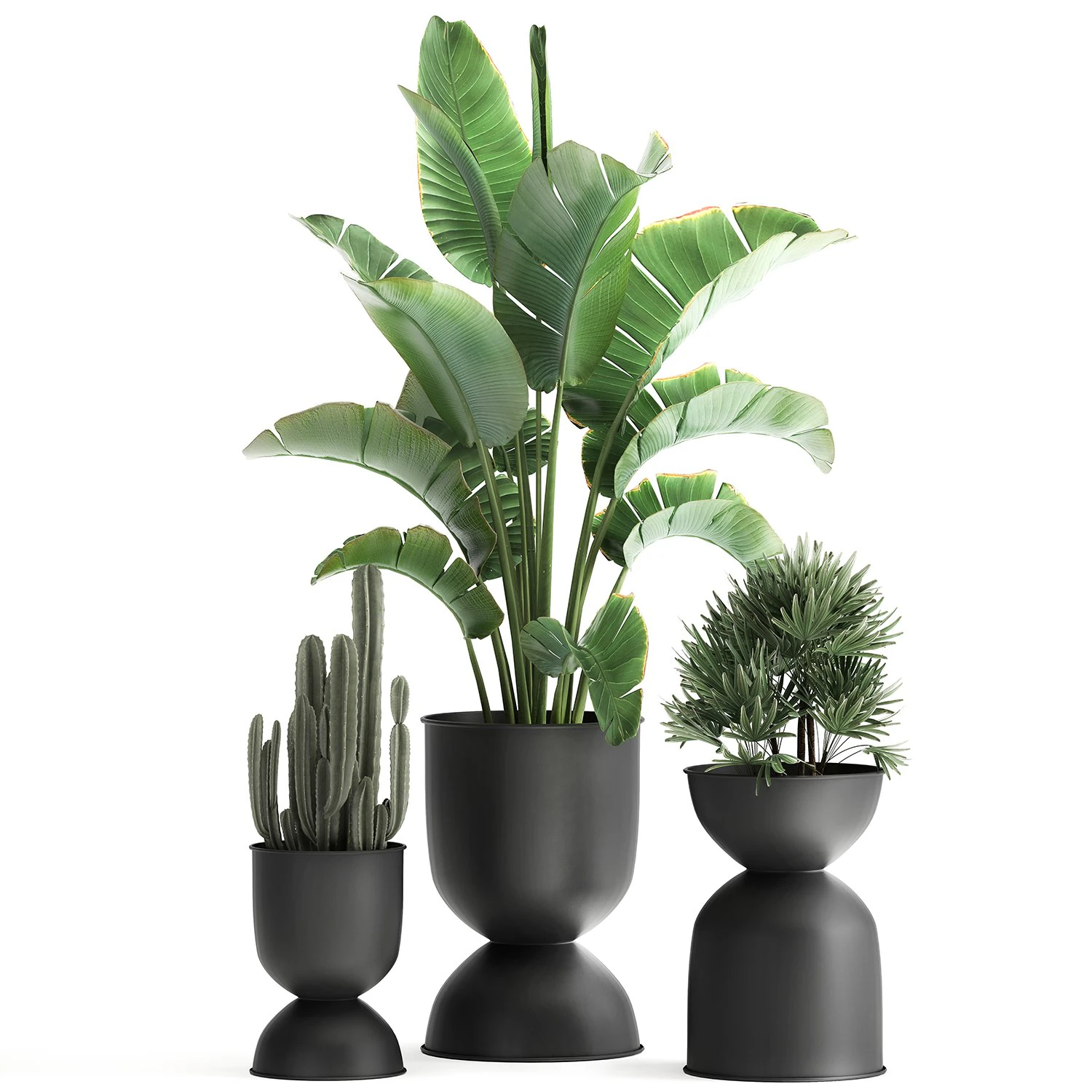 houseplants in a black pot for the interior 915 3D Model .c4d .max .obj .3ds .fbx .stl .blend