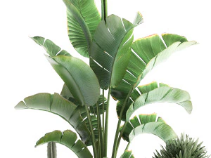 houseplants in a black pot for the interior 915 3D Model