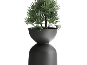 houseplants in a black pot for the interior 915 3D Model