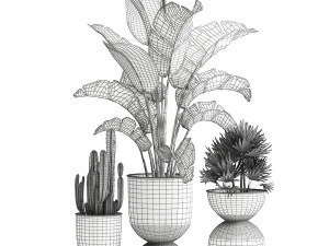 houseplants in a black pot for the interior 915 3D Model