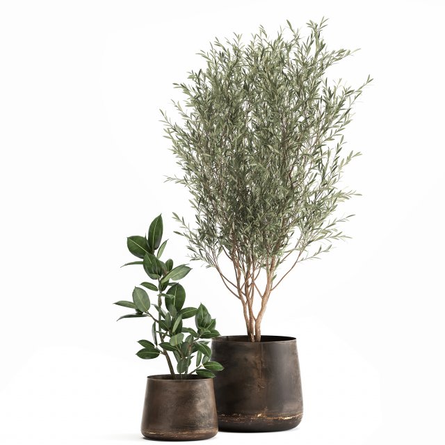 houseplants in a flowerpot for the interior 917 Model 3D .c4d .max .obj .3ds .fbx .stl .blend 