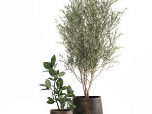 plantas de casa em vaso para o interior 917 Modelo 3D