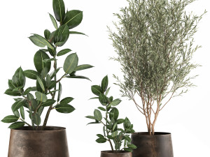 houseplants in a flowerpot for the interior 917 Model 3D
