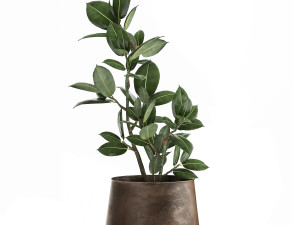 houseplants in a flowerpot for the interior 917 Model 3D