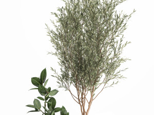 houseplants in a flowerpot for the interior 917 Model 3D