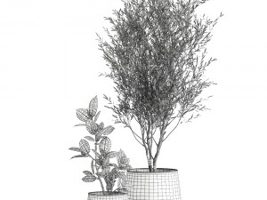 houseplants in a flowerpot for the interior 917 Model 3D