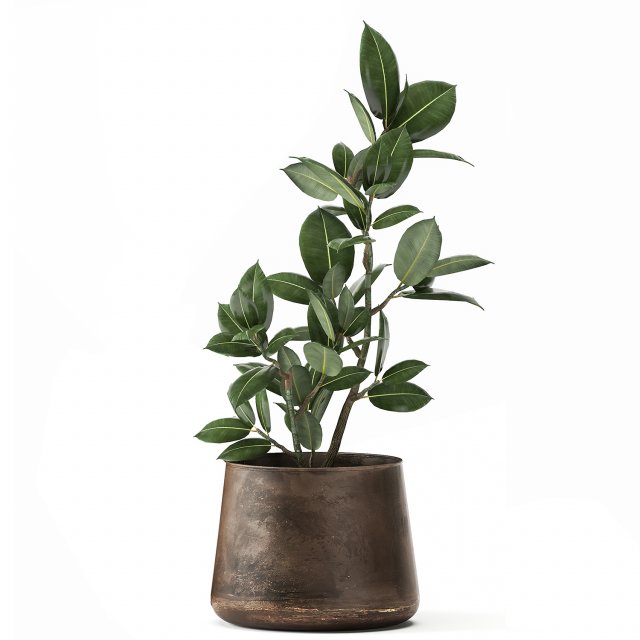 ficus in a flowerpot for the interior 918 Modèle 3D .c4d .max .obj .3ds .fbx .stl .blend