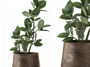 ficus in a flowerpot for the interior 918 Modèle 3D