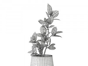 ficus in a flowerpot for the interior 918 Modèle 3D