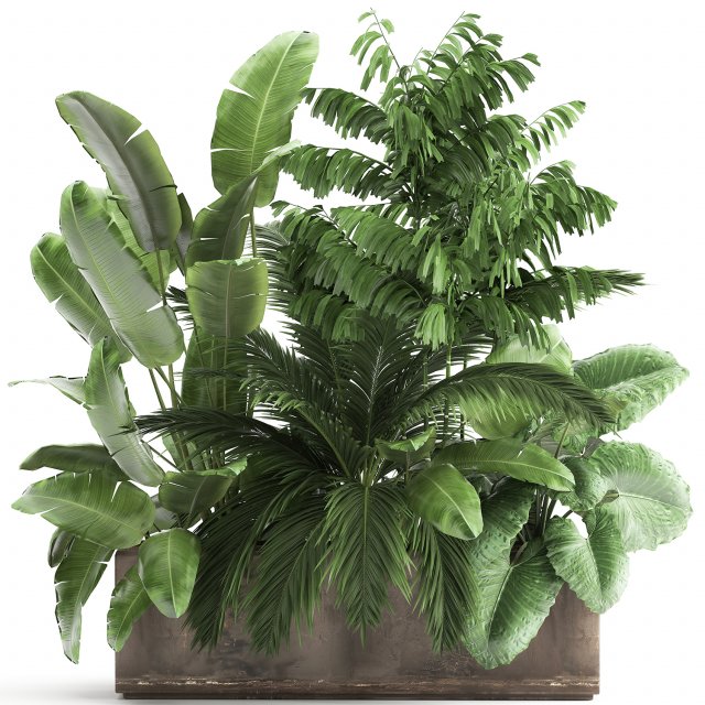 houseplants in a flowerpot for the interior 919 Modelo 3D .c4d .max .obj .3ds .fbx .stl .blend 