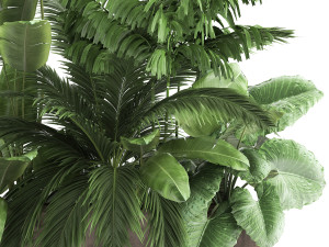 houseplants in a flowerpot for the interior 919 Modelo 3D