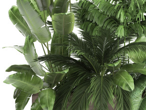 houseplants in a flowerpot for the interior 919 Modelo 3D