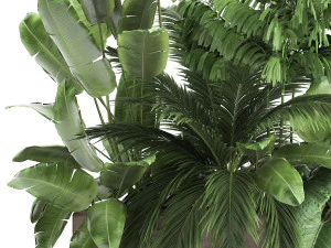 houseplants in a flowerpot for the interior 919 3D Model