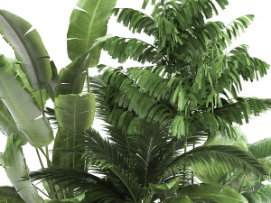 houseplants in a flowerpot for the interior 919 Modelo 3D