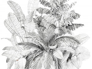 houseplants in a flowerpot for the interior 919 Modelo 3D