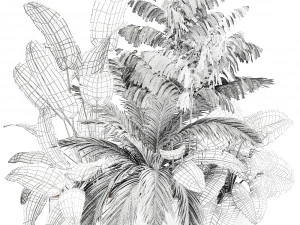 houseplants in a flowerpot for the interior 919 3D Model