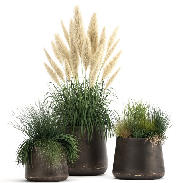 reeds and grass in a flowerpot for the interior 920 Modelo 3D .c4d .max .obj .3ds .fbx .stl .blend 