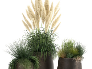 reeds and grass in a flowerpot for the interior 920 3D Model