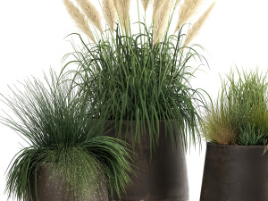 reeds and grass in a flowerpot for the interior 920 Modelo 3D