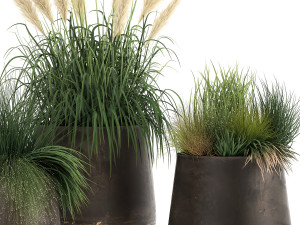 reeds and grass in a flowerpot for the interior 920 Modelo 3D