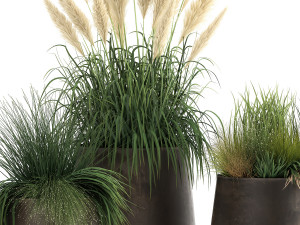 reeds and grass in a flowerpot for the interior 920 Modelo 3D