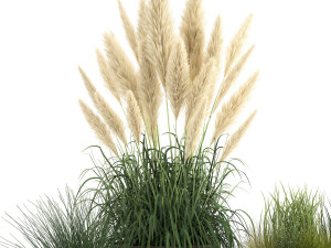 reeds and grass in a flowerpot for the interior 920 Modelo 3D