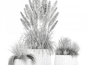 reeds and grass in a flowerpot for the interior 920 Modelo 3D
